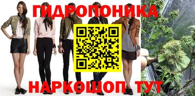 индика Пугачёв