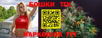 индика Пугачёв