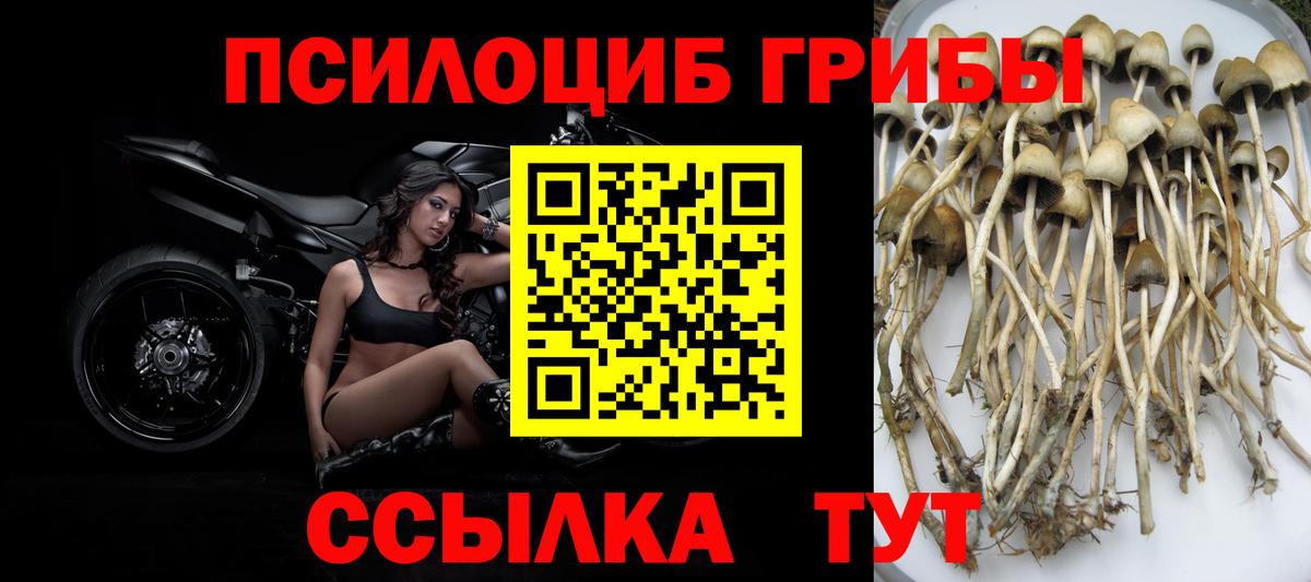 Галлюциногенные грибы Cubensis  Вход с VPN  Псилоцибиновые грибы Psilocybine cubensis  Сатка 