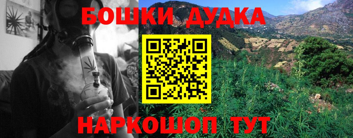 Конопля сатива Сатка